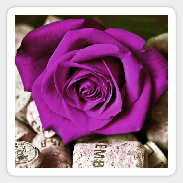 PINK ROSE Sticker by SILVA_CAPITANA